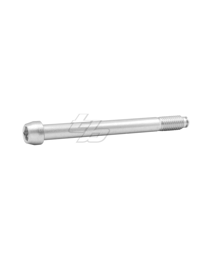 STUB AXLE BOLT  CAMBER/CASTER 2017