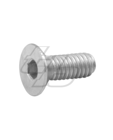 SCREW VTPSCE 4X10 STAINLESS STEEL