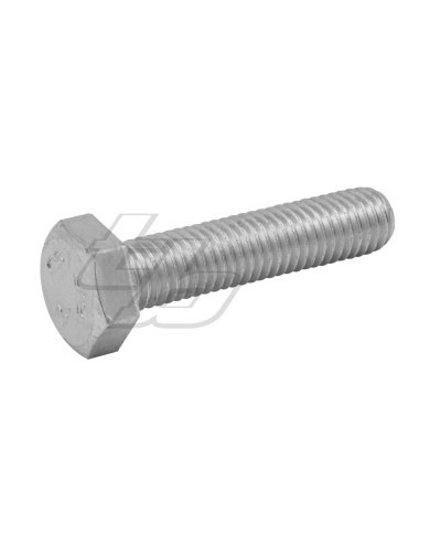 SCREW VTE 10X45