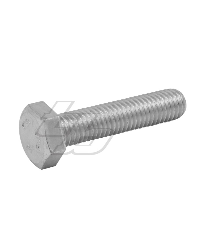 SCREW VTE 10X45