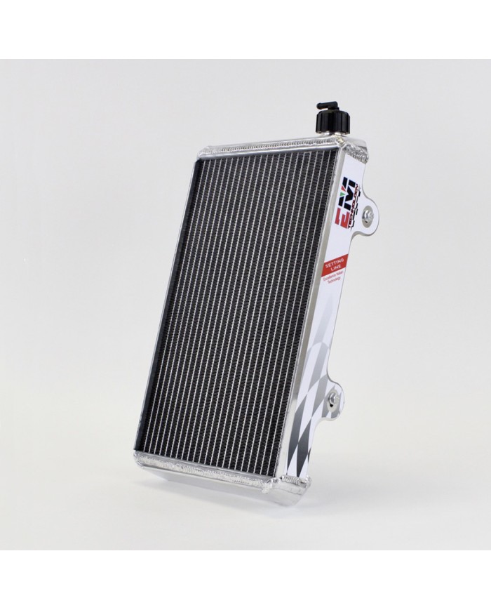 Radiatore Em-01 Medio Completo Di Supporti E Tappo