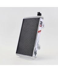 Radiatore Em-01 Medio Completo Di Supporti E Tappo