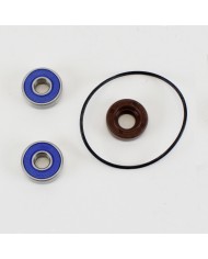 Pompa Acqua Revision Kit