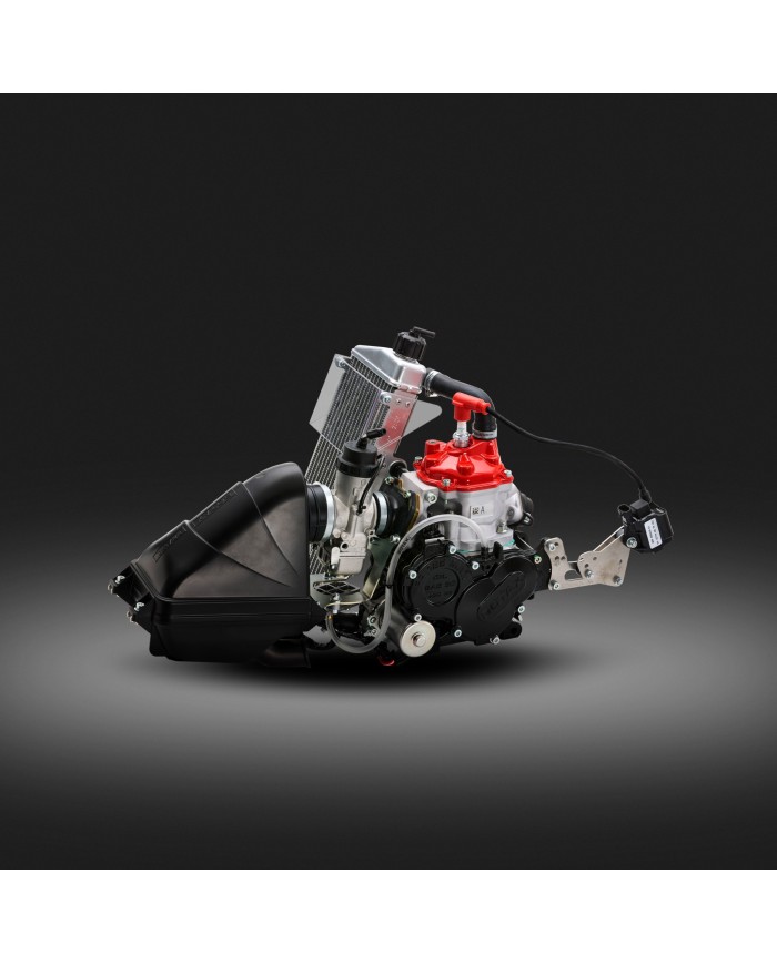 Motore Rotax Junior evo