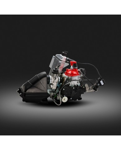 Motore Rotax Max evo