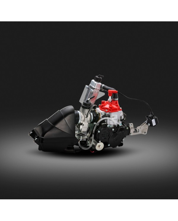 Motore Rotax Micro evo20